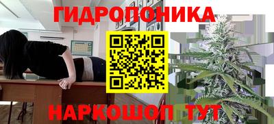 трава Краснознаменск