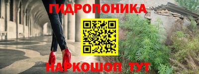 шишки Краснокаменск