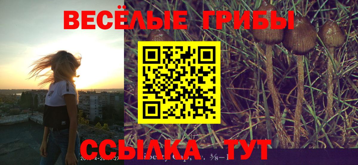 Псилоцибиновые грибы прущие грибы Кировск