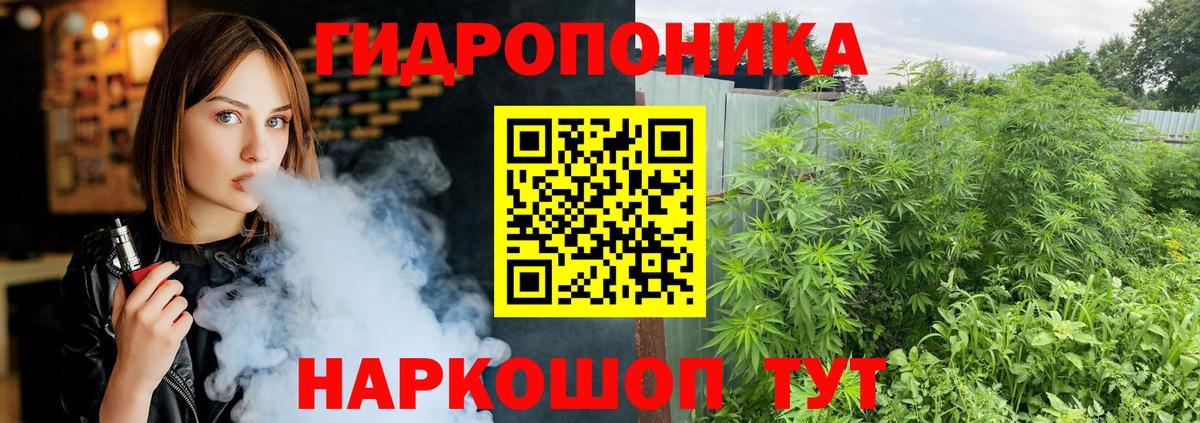 Кировск  Марихуана сатива  Вход с VPN  Каннабис гибрид  Каннабис White Widow 